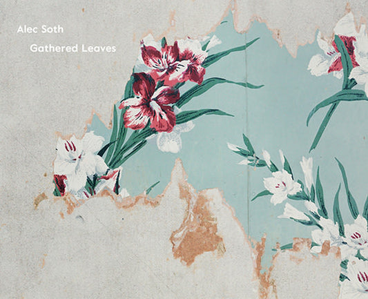 Alec Soth: Gathered Leaves